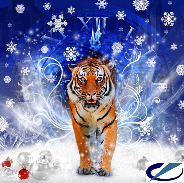 График работы в праздничные дни 2022 года!